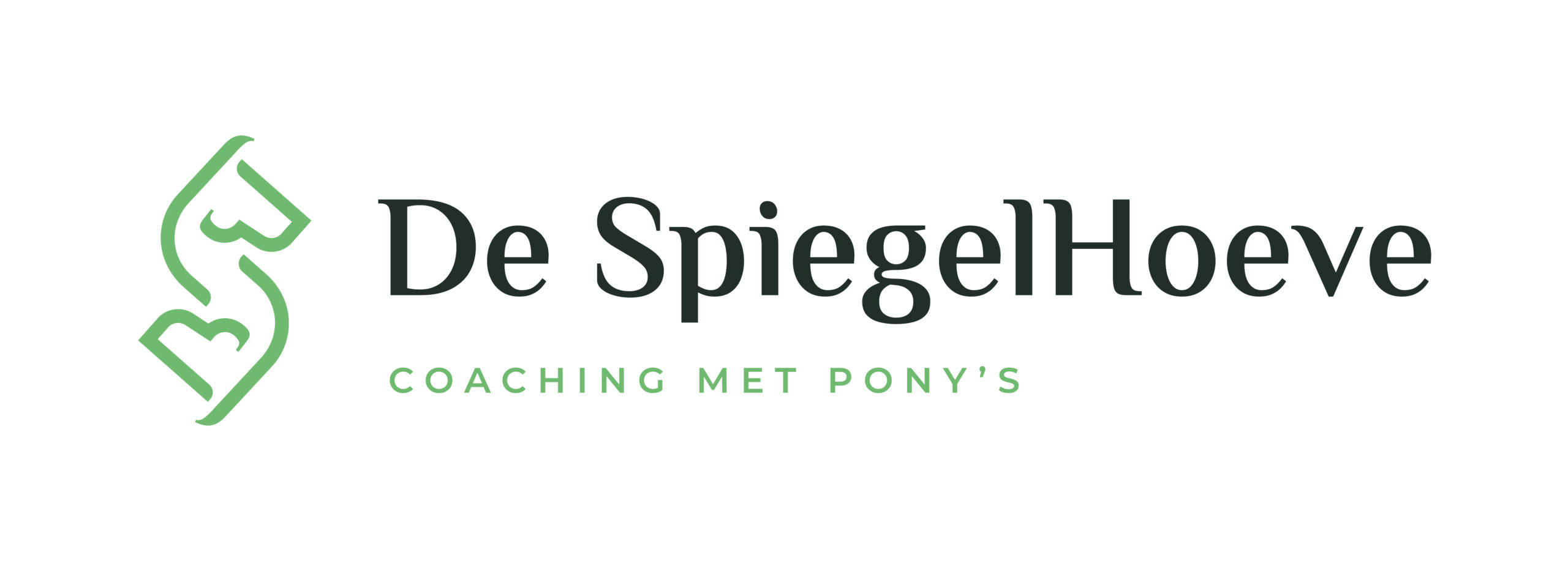 De Spiegelhove - Logo - HR.jpg